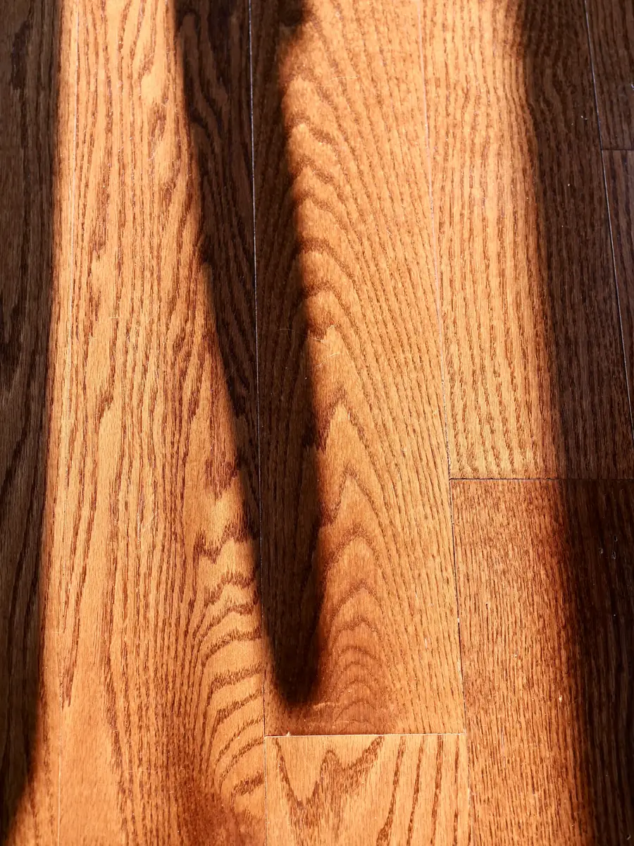 Close-up of red oak hardwood floor grain with a warm golden stain
